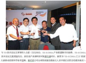 模擬性分散管理結構