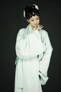 <<紅樓夢>>[2010年李少紅執導的古裝情感劇]