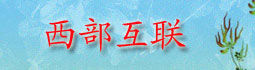 西部互聯 西部互聯