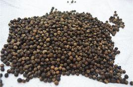 炒蔓荊子 炒蔓荊子