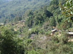 嘎老自然村 嘎老自然村