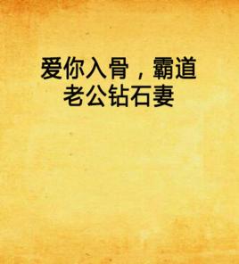 愛你入骨,霸道老公鑽石妻 愛你入骨,霸道老公鑽石妻