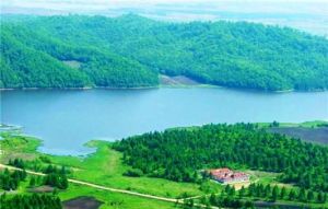 小東溝原始森林 小東溝原始森林