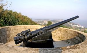 毛垟炮台 毛垟炮台