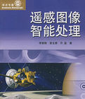 遙感圖像智慧型處理 遙感圖像智慧型處理