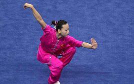 2017年全國武術套路錦標賽 2017年全國武術套路錦標賽