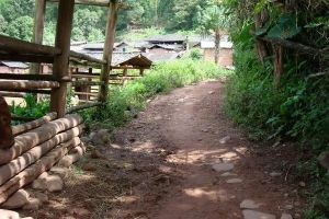 文會自然村 文會自然村