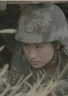 特種兵王[金盾影視中心出品的系列網路大電影]