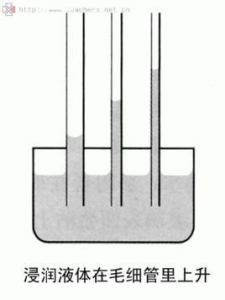 毛細現象