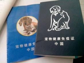 寵物證 寵物證