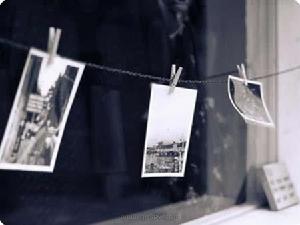 愛你我不怕受傷 愛你我不怕受傷