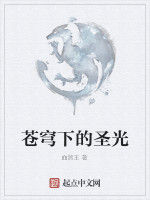 蒼穹下的聖光 蒼穹下的聖光