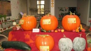 現代農業基地 現代農業基地