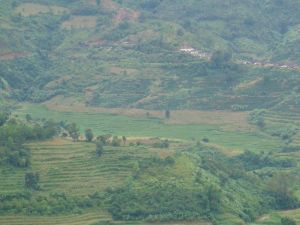 曼登箐自然村 曼登箐自然村