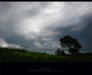 季風試驗計畫 季風試驗計畫