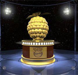 第38屆金酸莓獎 第38屆金酸莓獎