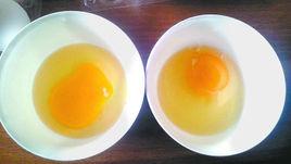 機械性散黃 機械性散黃