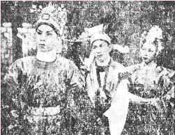 多情孟麗君 多情孟麗君