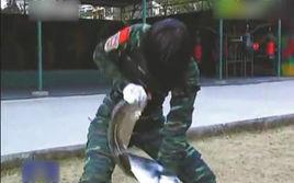 李敏[武警四川總隊女子特警隊隊員]