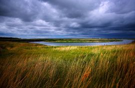 疾風知勁草 疾風知勁草