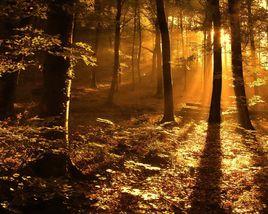 晚秋即景 晚秋即景