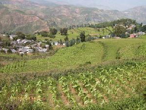 大瓦鍋村自然資源-山地