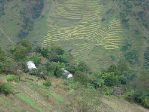 哈古都自然村 哈古都自然村