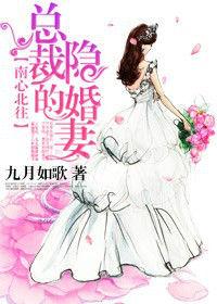 南心北往,總裁的隱婚妻 南心北往,總裁的隱婚妻