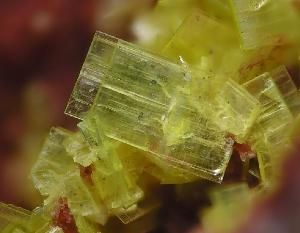 鈉砷鈾雲母 鈉砷鈾雲母