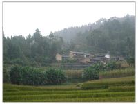 橄盧自然村 橄盧自然村