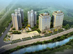 德寶貴御國際 德寶貴御國際