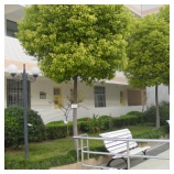 大豐市第六中學 大豐市第六中學