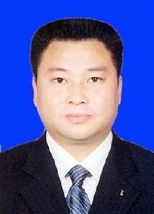 楊偉[岑鞏縣委書記]