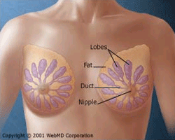 睫狀體神經纖維瘤