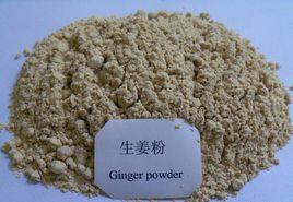 生薑粉 生薑粉