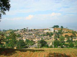 大婆左村 大婆左村