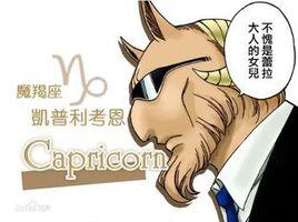 凱普利考恩 凱普利考恩