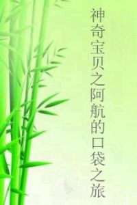 神奇寶貝之阿航的口袋之旅 神奇寶貝之阿航的口袋之旅