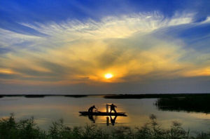 衡水湖國家級自然保護區