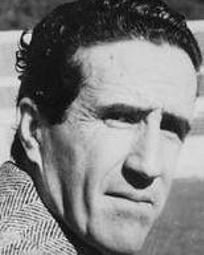 埃雷拉[曼聯球員安德爾·埃雷拉]