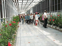 （圖）玻璃溫室