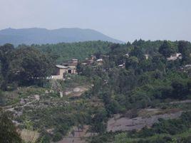 松樹崗村 松樹崗村