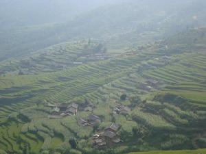 臘草箐村 臘草箐村