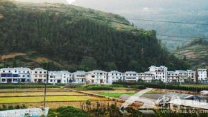 代陳溝村 代陳溝村