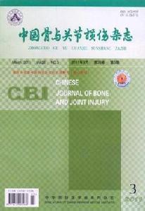 中國骨與關節損傷雜誌 中國骨與關節損傷雜誌