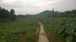 前漁池村 前漁池村