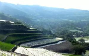 山頭渠村 山頭渠村