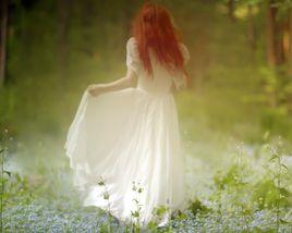 美好的世界 美好的世界