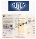 比利時鑽石高階層議會 比利時鑽石高階層議會