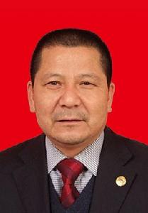 張德軍[陝西省漢陰縣人大常委會副主任]